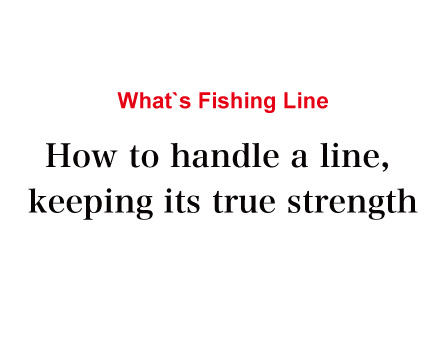 What's Fishing Line 本当の強さを保つ、ラインの扱い方